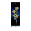 KONKA Refrigerator-KRT-240GB-240 LTR-Upper Freezer-SAPPHIRE ROSE